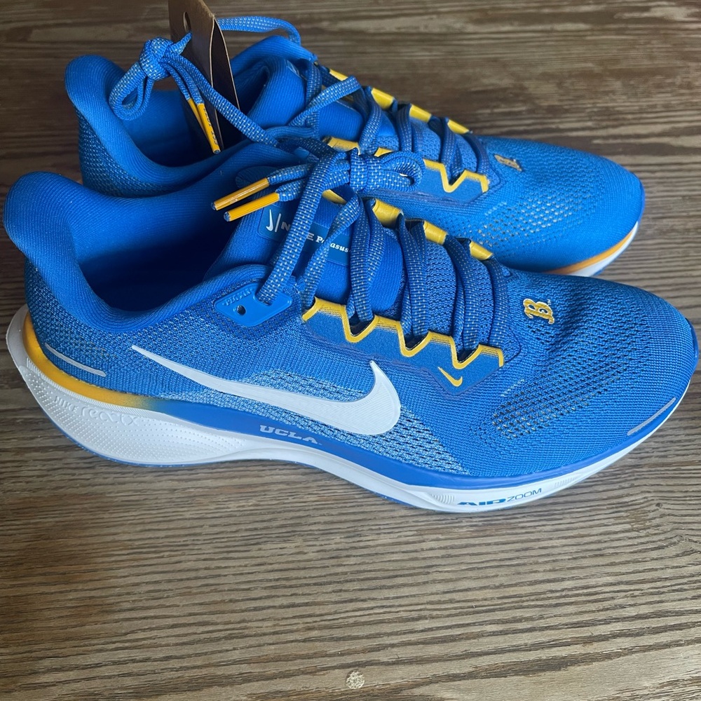 Nike Pegasus Running Shoe